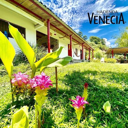 Hacienda Venecia Hostel San Peregrino 외부 사진