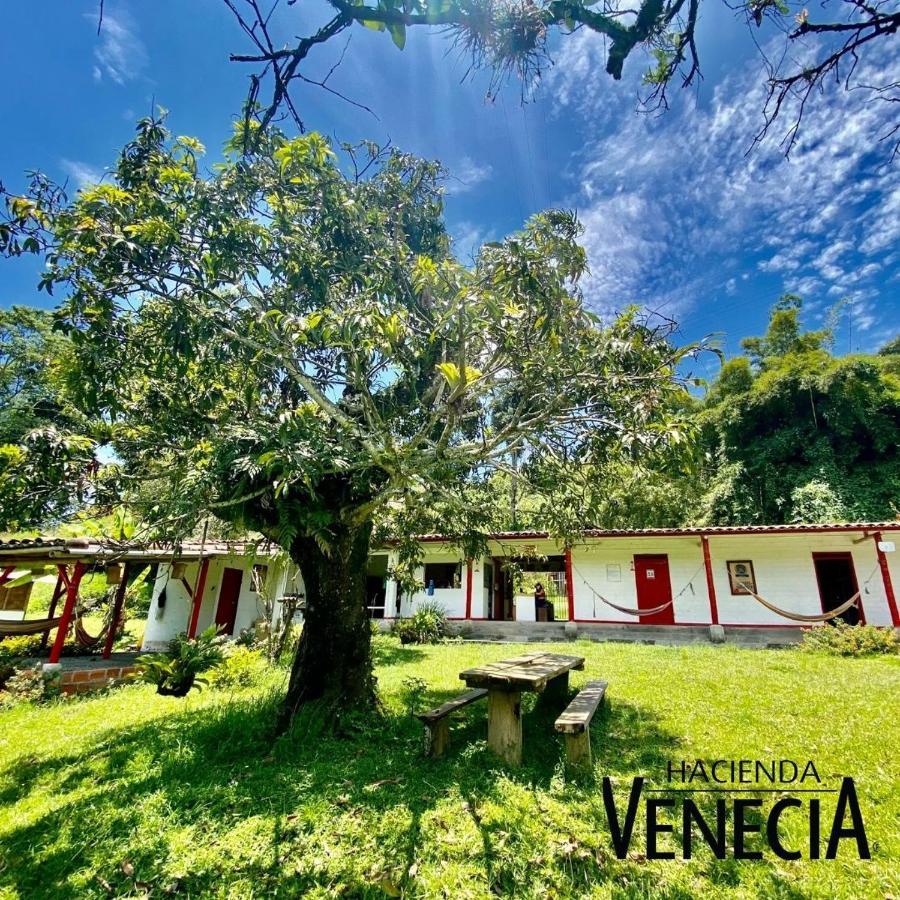 Hacienda Venecia Hostel San Peregrino 외부 사진