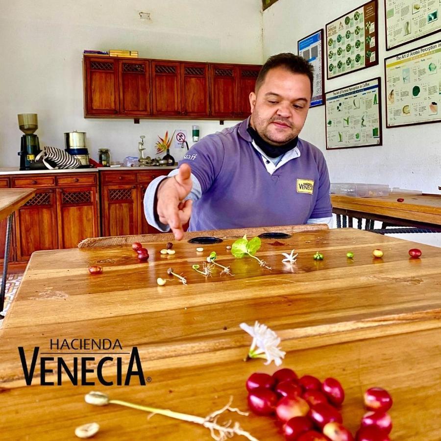 Hacienda Venecia Hostel San Peregrino 외부 사진